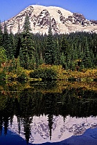 Mt. Rainier in Reflection Lake